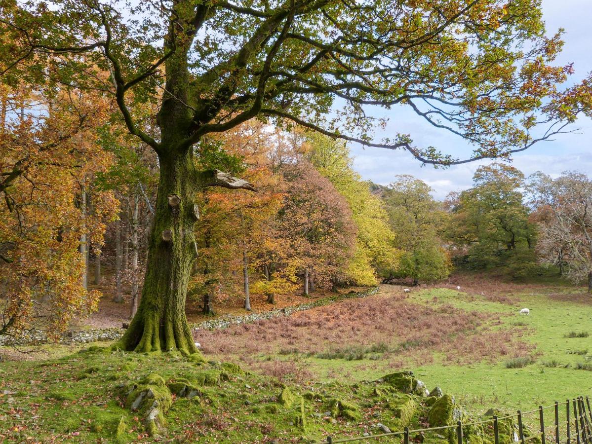 Yew - Woodland Cottages Bowness-on-Windermere Exteriör bild